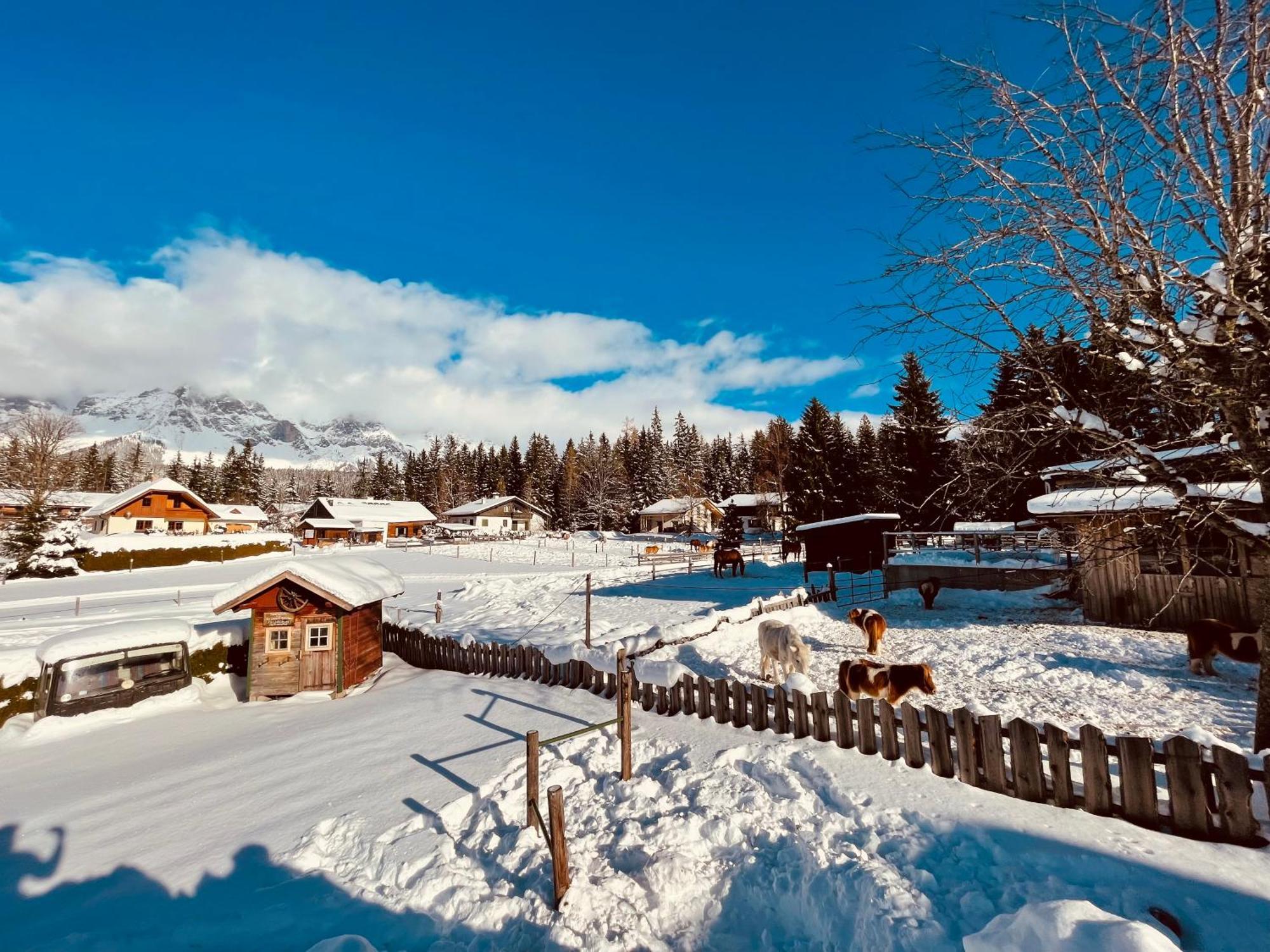 Pension Vorberghof- Bauernhofurlaub Ramsau am Dachstein Extérieur photo